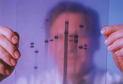 Person im Hintergrund hält ein auf Folie gedrucktes DNA Profil vor sich (verweist auf: Einrichtung einer DNA-Analyse-Datei)