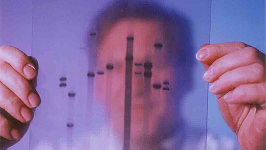 Person im Hintergrund hält ein auf Folie gedrucktes DNA Profil vor sich